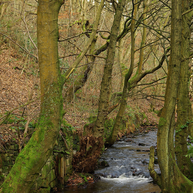 River Kinder