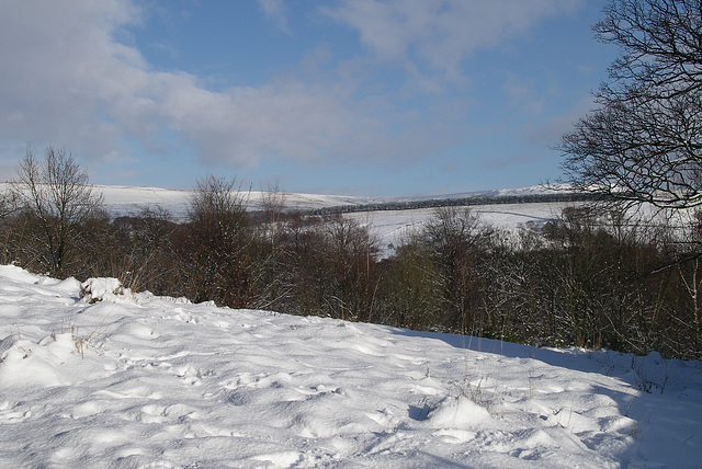 Manor Park Glossop SNOW