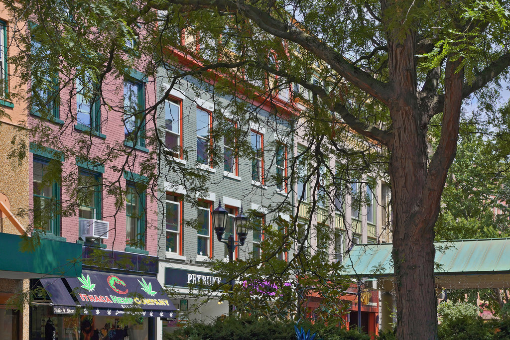 Ithaca Hemp Company – Ithaca Commons, State Street, Ithaca, New York