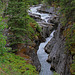 Maligne River and Canyon