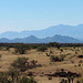 Tombstone Hills & Huachuca Mountains