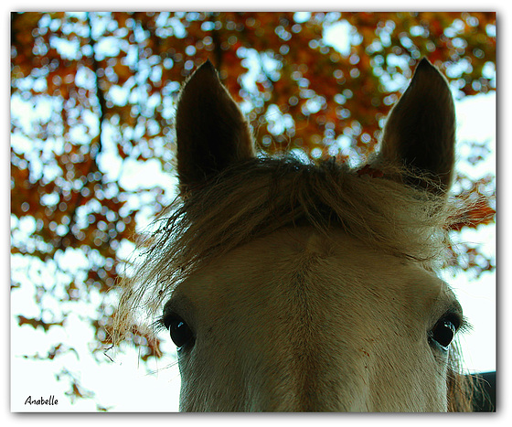 Les yeux dans les yeux !