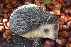 erinaco (Igel)