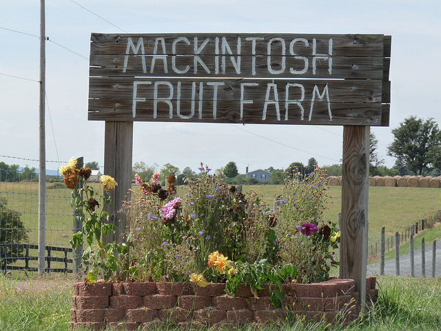 Mackintosh Fruit Farm