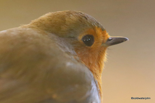 A morning at 360mm