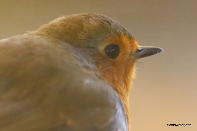 A morning at 360mm