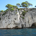 Tour by boat of the calanques near Cassis.  Calanques are small inlets with steep sides cut into the limestone that dominates this part of France.