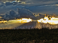 Huachuca Peak