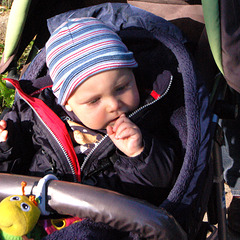 Pieter en la infanĉareto (Pieter im Kinderwagen)