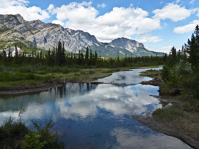 Mt. Yamnuska from Many Springs