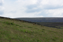 IMGP4305