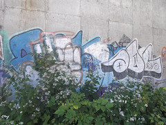 Fleurs sauvages & Oeuvre mural / Wild flowers & wall colorful tag.