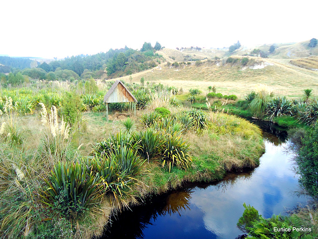 Reflection in farm stream