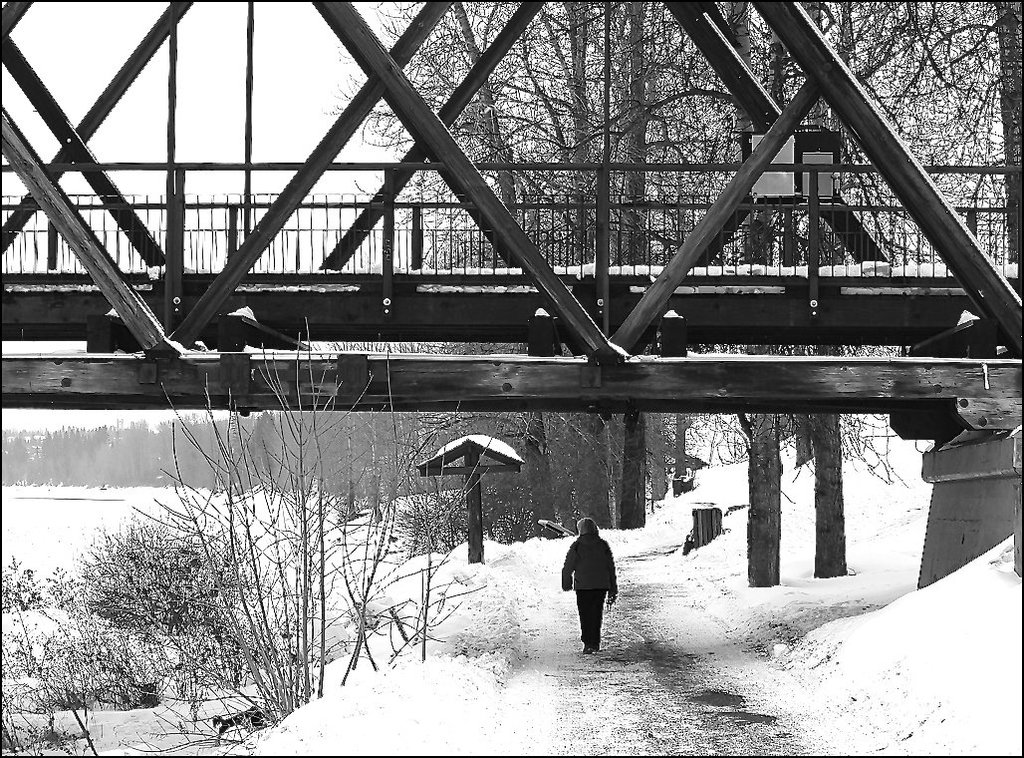 Fraser River Bridge