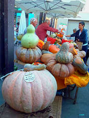 Tout le monde a eu sa citrouille pour halloween ?