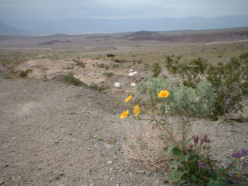 death valley 3 - 40