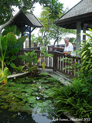 08 Small Wildlife Pool