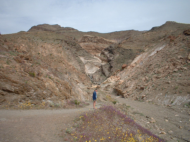 death valley 3 - 41