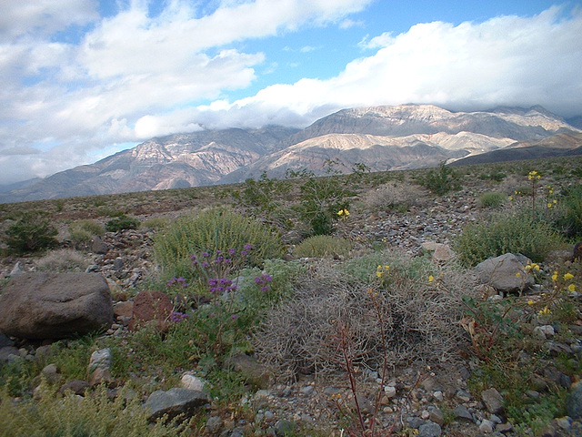 death valley 3 - 74