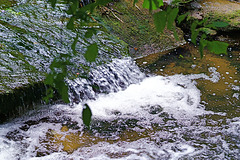 Bide Brook Falls