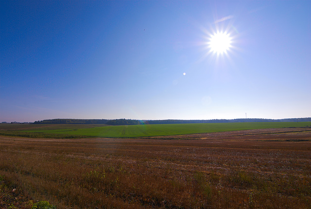 Weißrussische Landschaft bei Synkawitschy