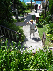 34 Lots More Steps