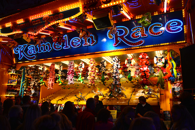 Leidens Ontzet 2013 – Lunapark – Camel Race