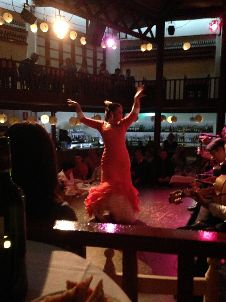 The flamenco show at the Tablao de Carmen.