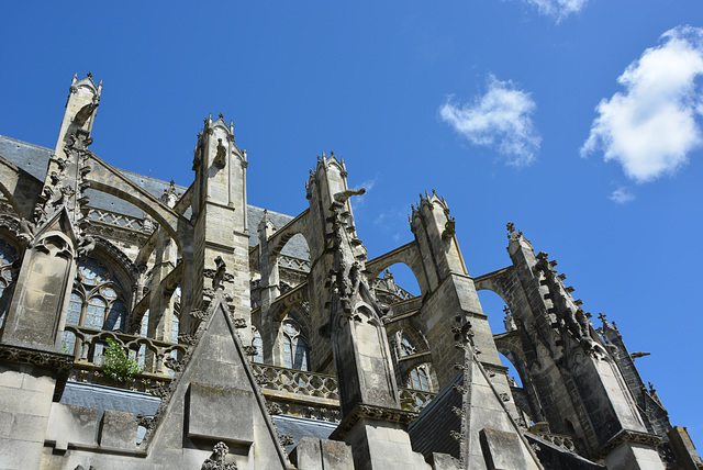 gargouilles de la cathédrale, Tours