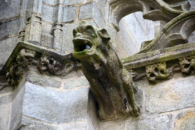 Quimper 2014 – Gargoyle