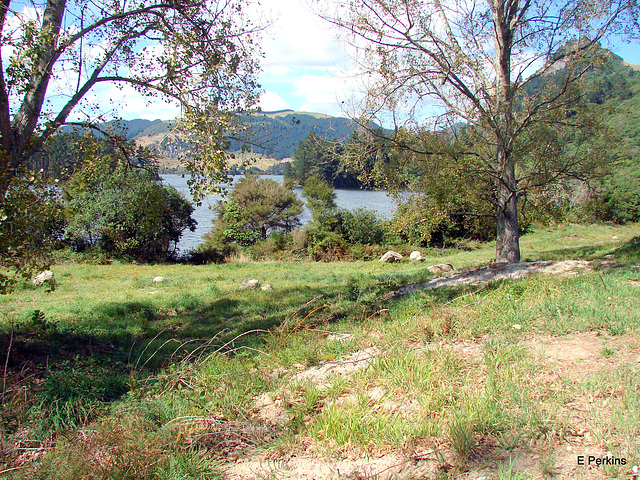 Glimpse of lake