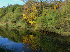 Canalside Reflections