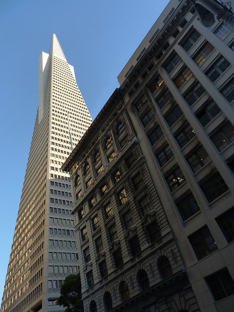 Aspects of San Francisco (3) - 15 November 2013