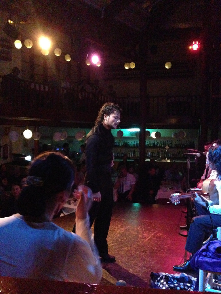 The flamenco show at the Tablao de Carmen.
