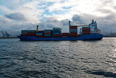 schiff-1170750-co