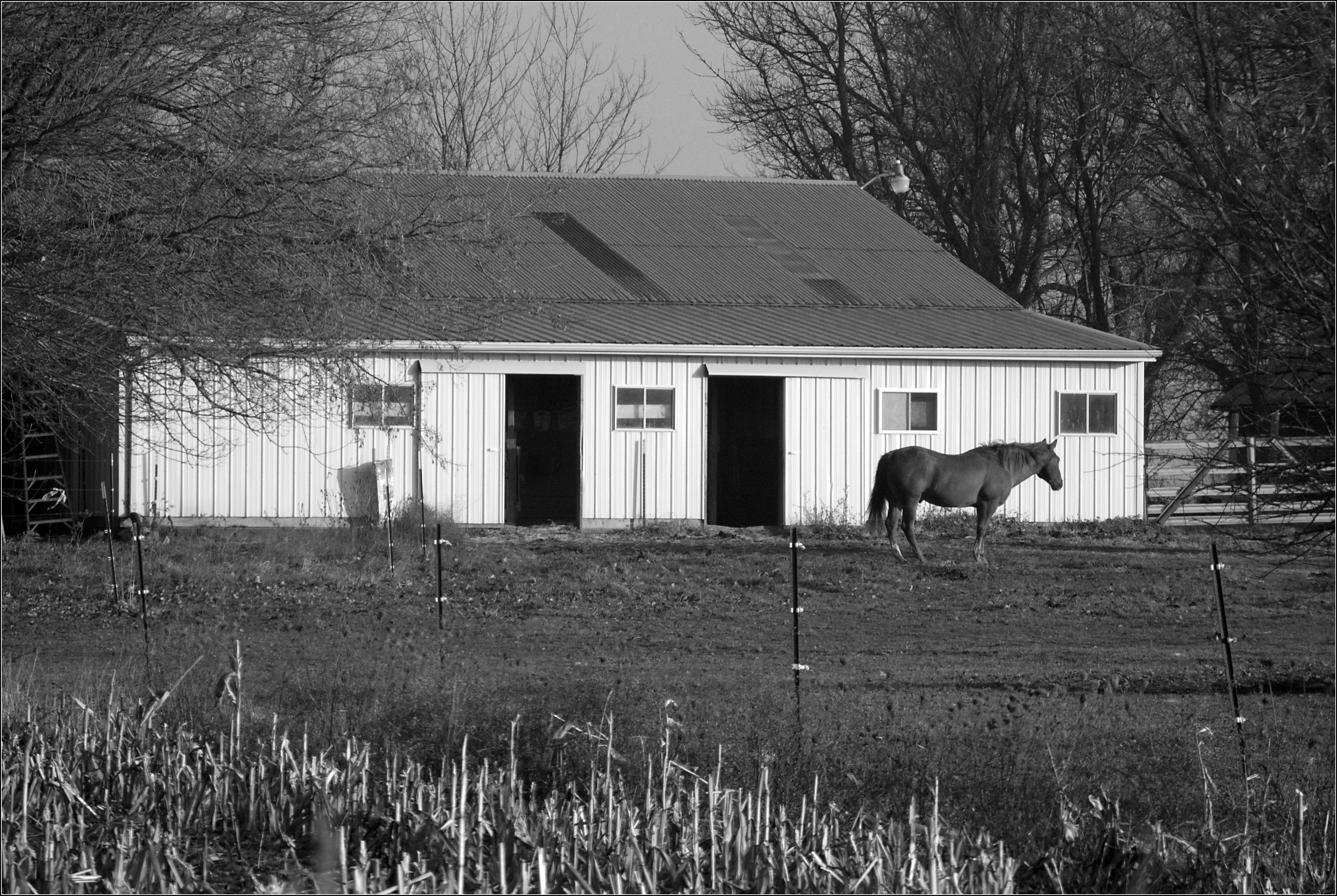 Horse, with Stable