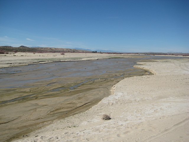 Mojave River 16