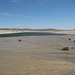 Mojave River 18