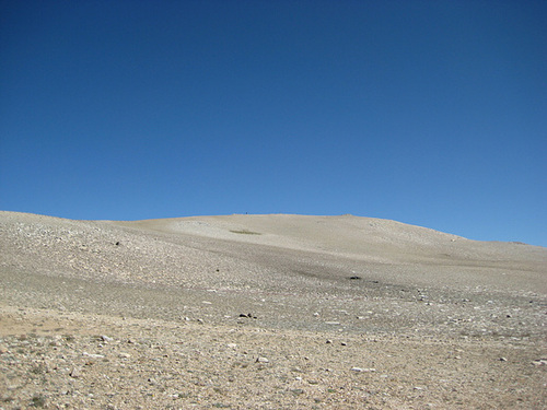 White Mtn Peak 12