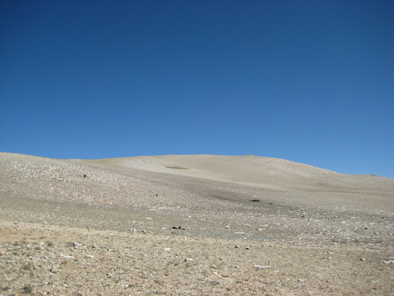 White Mtn Peak 12