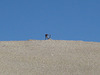 White Mtn Peak 13
