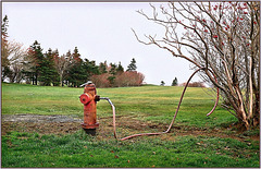 December watering