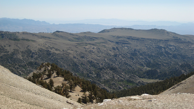 White Mtn Peak 15