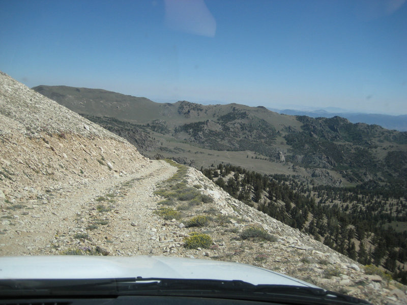 White Mtn Peak 16