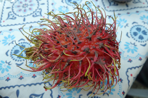 Rambutan