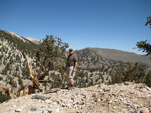 White Mtn Peak 24