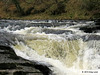 Stainforth Foss