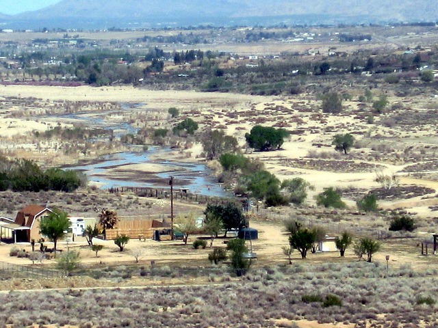 Mojave River 46