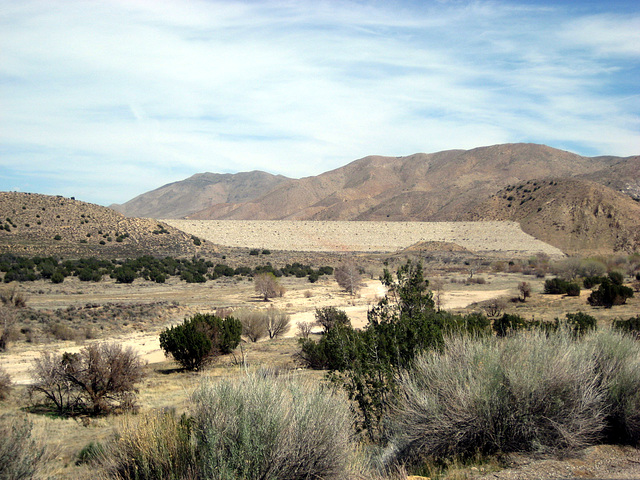 Mojave River 49