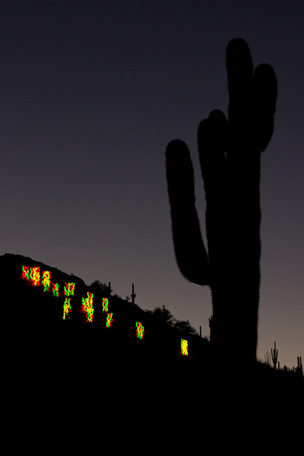 Chihuly neon sculptures